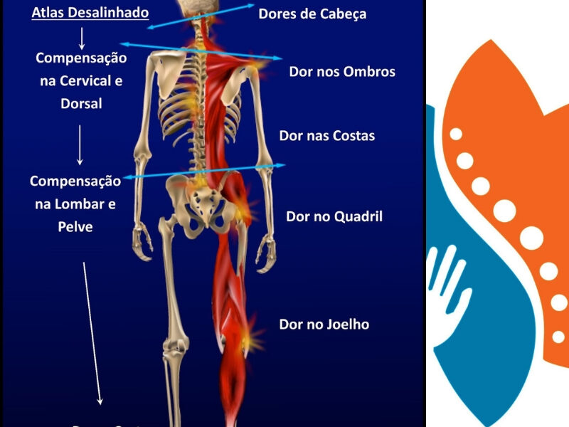 Quiropraxia São Paulo, Laserterapia, Liberação miofascial, Medicina Chinesa, Estudo do Sangue Vivo, Diagnóstico de Saúde.